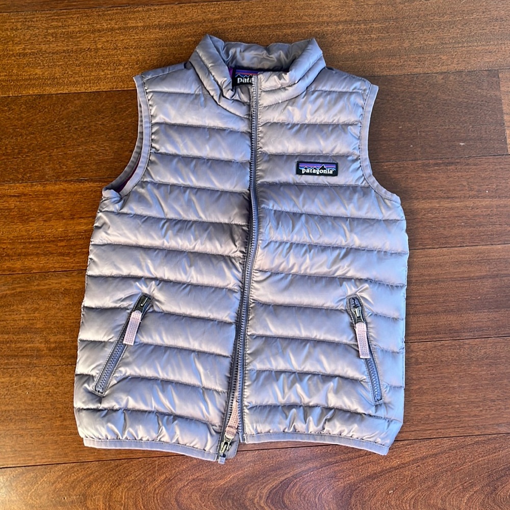 Patagonia Down Sweater Vest
